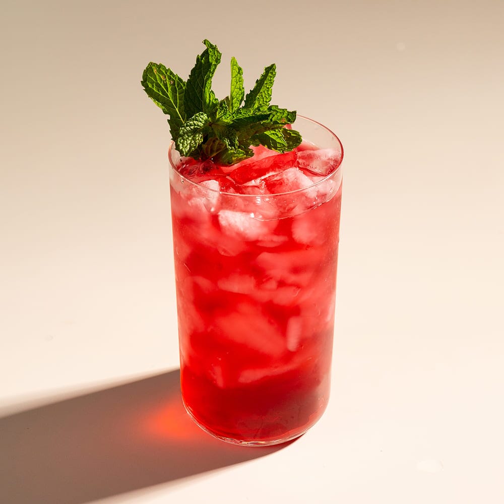 Summer Iced Tea Starter Bundle