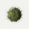 Nuruki Shincha Yutakamidori